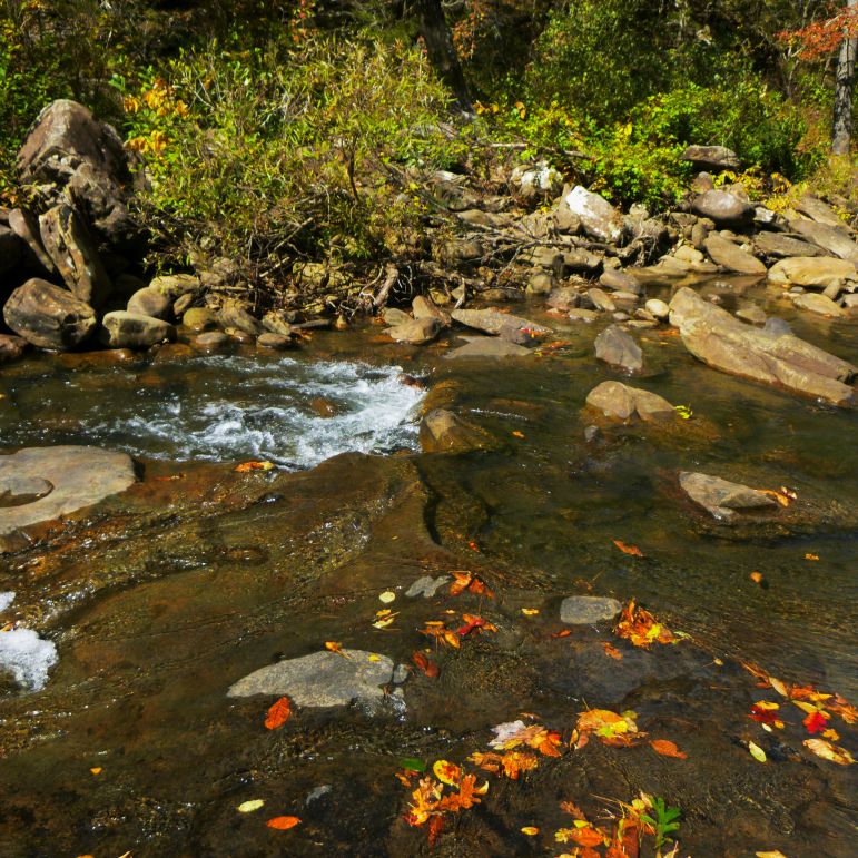 Hurricane creek with fall leaves on OHT